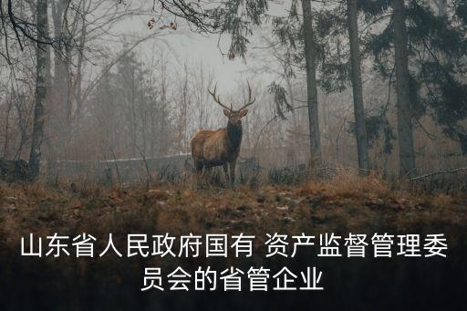 山東省人民政府國有 資產(chǎn)監(jiān)督管理委員會(huì)的省管企業(yè)