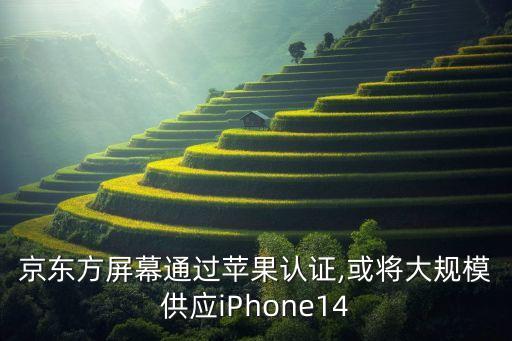 京東方屏幕通過蘋果認證,或將大規(guī)模供應iPhone14
