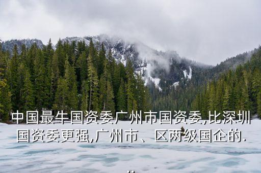 中國(guó)最牛國(guó)資委廣州市國(guó)資委,比深圳國(guó)資委更強(qiáng),廣州市、區(qū)兩級(jí)國(guó)企的...
