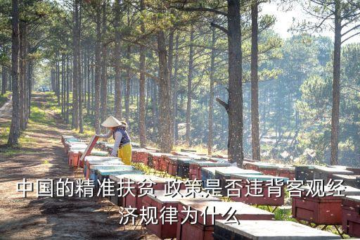 中國的精準扶貧 政策是否違背客觀經(jīng)濟規(guī)律為什么