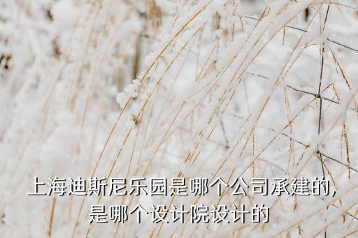  上海迪斯尼樂園是哪個公司承建的,是哪個設(shè)計院設(shè)計的