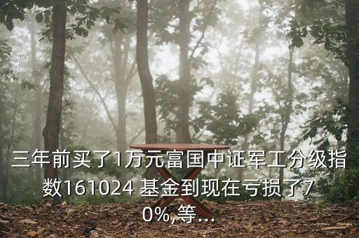 三年前買了1萬(wàn)元富國(guó)中證軍工分級(jí)指數(shù)161024 基金到現(xiàn)在虧損了70%,等...