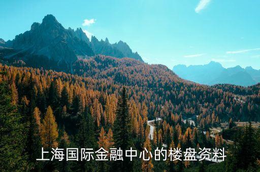  上海國(guó)際金融中心的樓盤資料