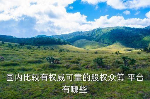 國內(nèi)比較有權(quán)威可靠的股權(quán)眾籌 平臺(tái)有哪些