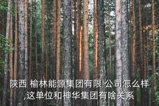 陜西 榆林能源集團有限 公司怎么樣,這單位和神華集團有啥關(guān)系