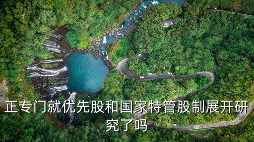 正專門就優(yōu)先股和國(guó)家特管股制展開(kāi)研究了嗎
