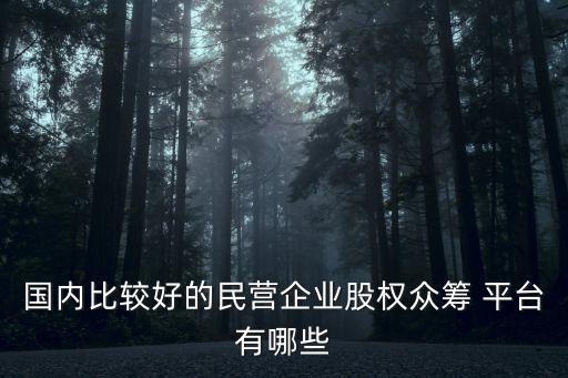 國內(nèi)比較好的民營(yíng)企業(yè)股權(quán)眾籌 平臺(tái)有哪些