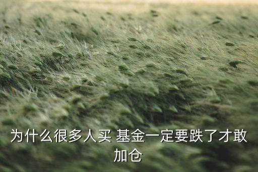 為什么很多人買(mǎi) 基金一定要跌了才敢加倉(cāng)