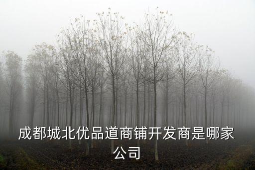  成都城北優(yōu)品道商鋪開(kāi)發(fā)商是哪家 公司
