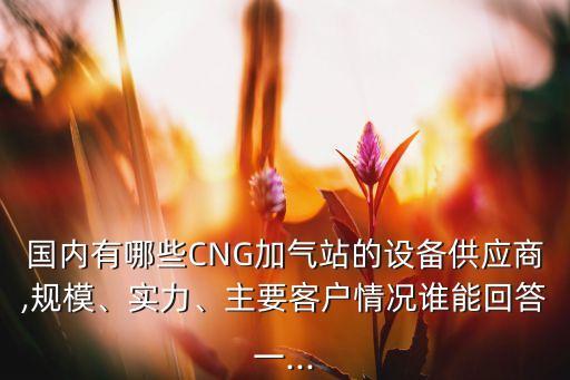 國內(nèi)有哪些CNG加氣站的設備供應商,規(guī)模、實力、主要客戶情況誰能回答一...