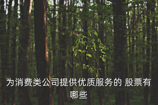 為消費(fèi)類(lèi)公司提供優(yōu)質(zhì)服務(wù)的 股票有哪些