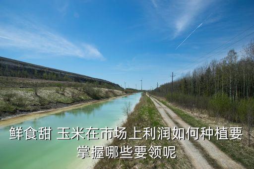 鮮食甜 玉米在市場上利潤如何種植要掌握哪些要領呢