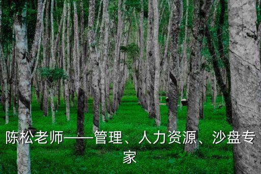 陳松老師——管理、人力資源、沙盤(pán)專(zhuān)家