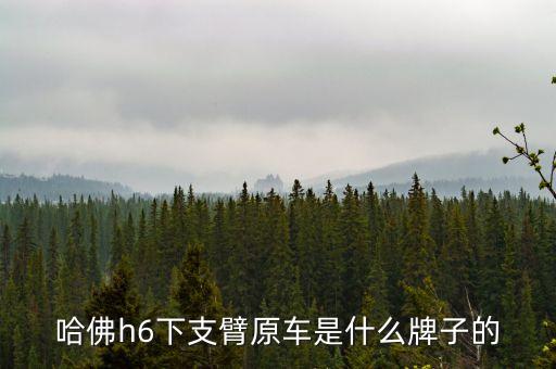哈佛h6下支臂原車(chē)是什么牌子的