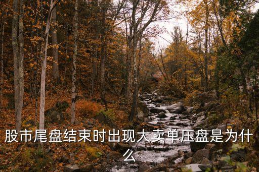 股市尾盤結束時出現(xiàn)大賣單壓盤是為什么