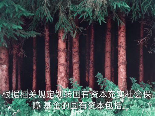 根據相關規(guī)定劃轉國有資本充實社會保障 基金的國有資本包括