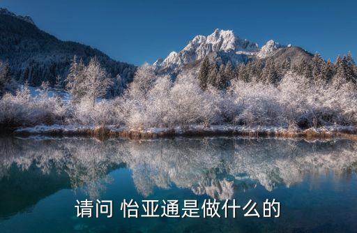 請(qǐng)問(wèn) 怡亞通是做什么的