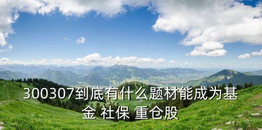 社保喜歡重倉的股票,社?；鹬貍}股票好不好