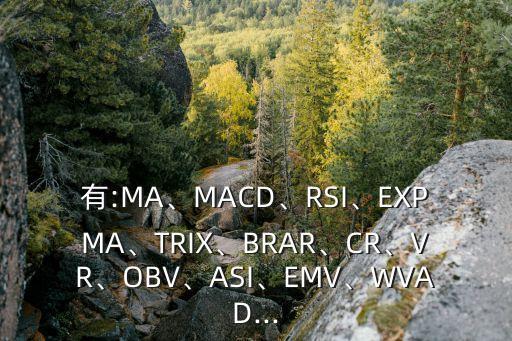 有:MA、MACD、RSI、EXPMA、TRIX、BRAR、CR、VR、OBV、ASI、EMV、WVAD...