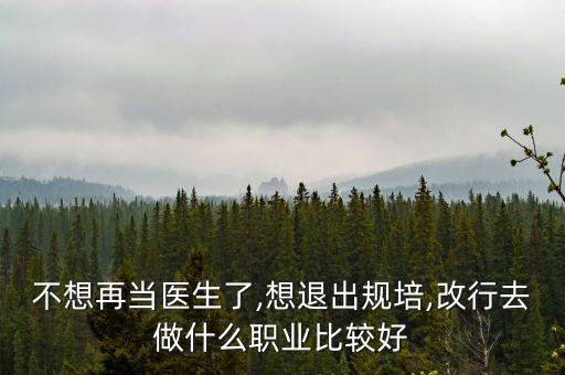 不想再當醫(yī)生了,想退出規(guī)培,改行去做什么職業(yè)比較好