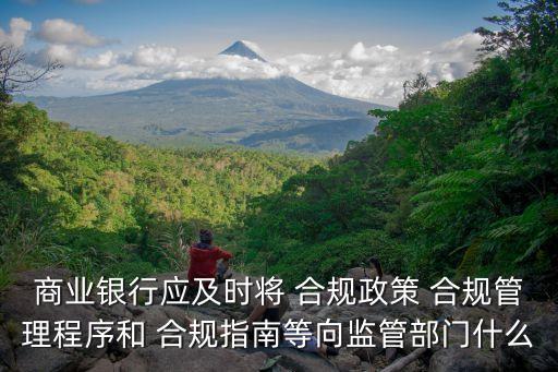 商業(yè)銀行應及時將 合規(guī)政策 合規(guī)管理程序和 合規(guī)指南等向監(jiān)管部門什么