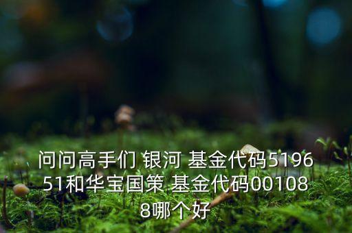 問問高手們 銀河 基金代碼519651和華寶國(guó)策 基金代碼001088哪個(gè)好