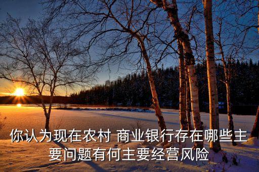 你認(rèn)為現(xiàn)在農(nóng)村 商業(yè)銀行存在哪些主要問題有何主要經(jīng)營風(fēng)險(xiǎn)
