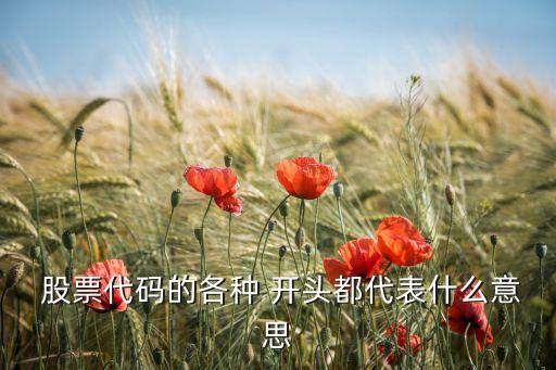 股票有幾個(gè)板塊開(kāi)頭,600開(kāi)頭的股票是什么板塊的