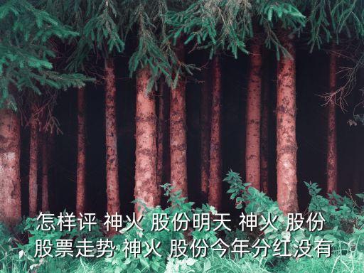 怎樣評(píng) 神火 股份明天 神火 股份 股票走勢(shì) 神火 股份今年分紅沒有