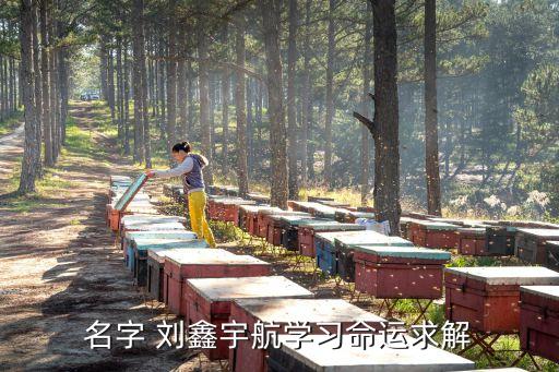 名字 劉鑫宇航學(xué)習(xí)命運(yùn)求解