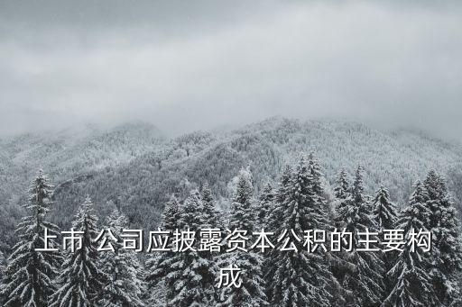  上市 公司應披露資本公積的主要構(gòu)成