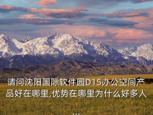 請問沈陽國際軟件園D15辦公空間產品好在哪里,優(yōu)勢在哪里為什么好多人...