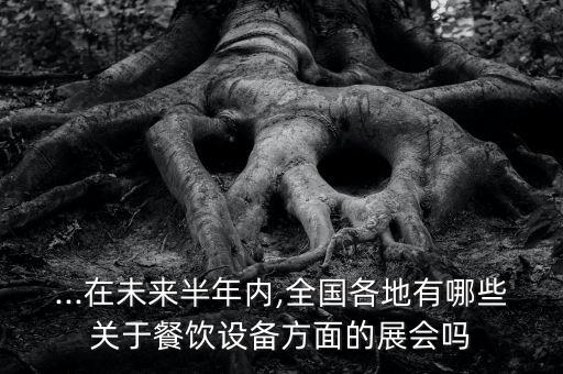 ...在未來半年內(nèi),全國各地有哪些關于餐飲設備方面的展會嗎