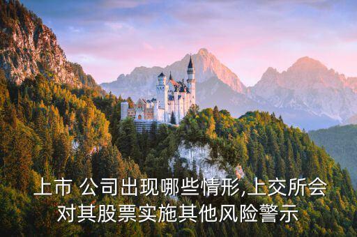  上市 公司出現(xiàn)哪些情形,上交所會對其股票實施其他風險警示