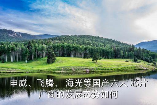 申威、飛騰、 海光等國(guó)產(chǎn)六大 芯片廠商的發(fā)展態(tài)勢(shì)如何