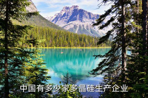 中國有多少家多晶硅生產企業(yè)