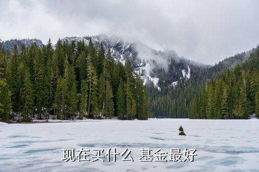 現(xiàn)在買(mǎi)什么 基金最好