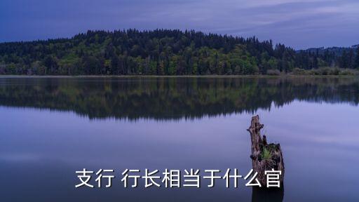 支行 行長相當于什么官