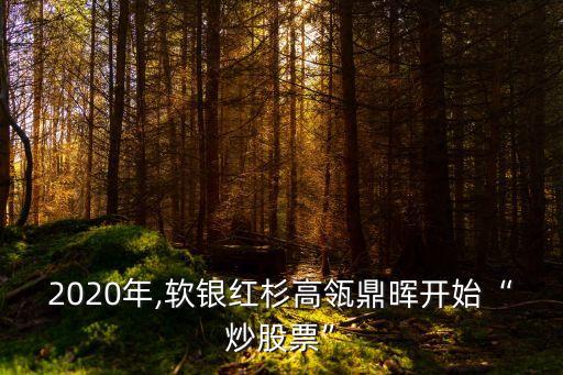 九鼎投資私募股權投資管理額,私募股權投資管理 歐陽良宜 pdf