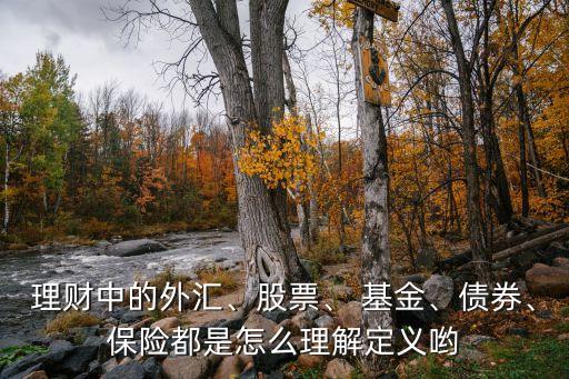 理財(cái)中的外匯、股票、 基金、債券、保險(xiǎn)都是怎么理解定義喲