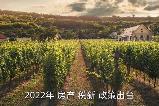 2022年 房產 稅新 政策出臺