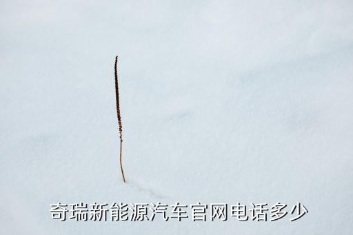  奇瑞新能源汽車(chē)官網(wǎng)電話(huà)多少