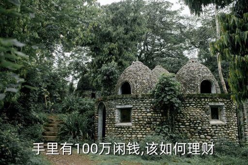 手里有100萬(wàn)閑錢(qián),該如何理財(cái)