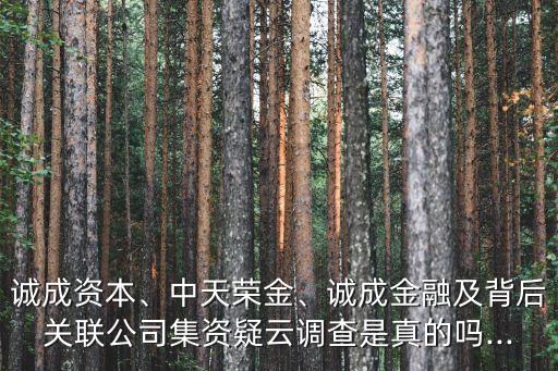 誠(chéng)成資本、中天榮金、誠(chéng)成金融及背后關(guān)聯(lián)公司集資疑云調(diào)查是真的嗎...