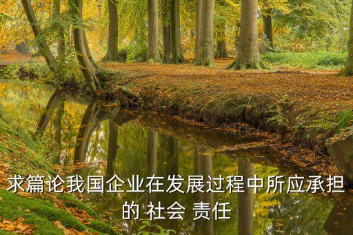 求篇論我國企業(yè)在發(fā)展過程中所應(yīng)承擔(dān)的 社會(huì) 責(zé)任