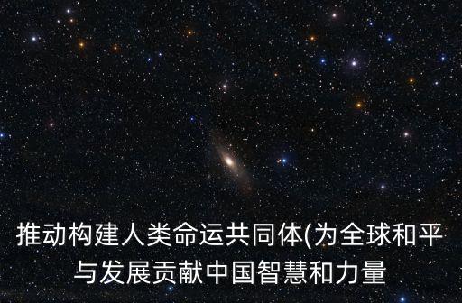 推動(dòng)構(gòu)建人類(lèi)命運(yùn)共同體(為全球和平與發(fā)展貢獻(xiàn)中國(guó)智慧和力量