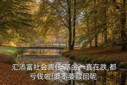  匯添富社會責任 基金一直在跌,都虧錢啦!要不要贖回呢