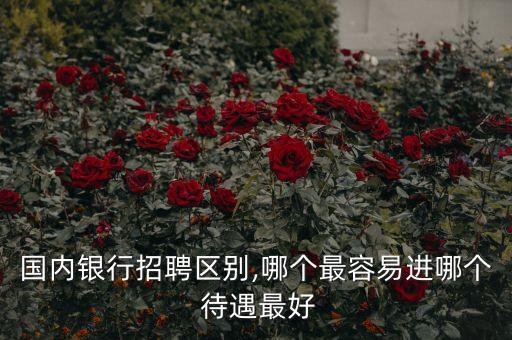 國內銀行招聘區(qū)別,哪個最容易進哪個 待遇最好