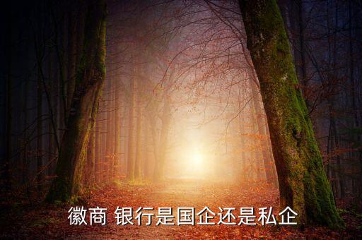  徽商 銀行是國(guó)企還是私企