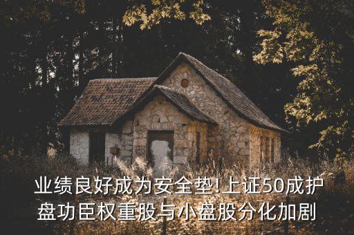  業(yè)績良好成為安全墊!上證50成護(hù)盤功臣權(quán)重股與小盤股分化加劇